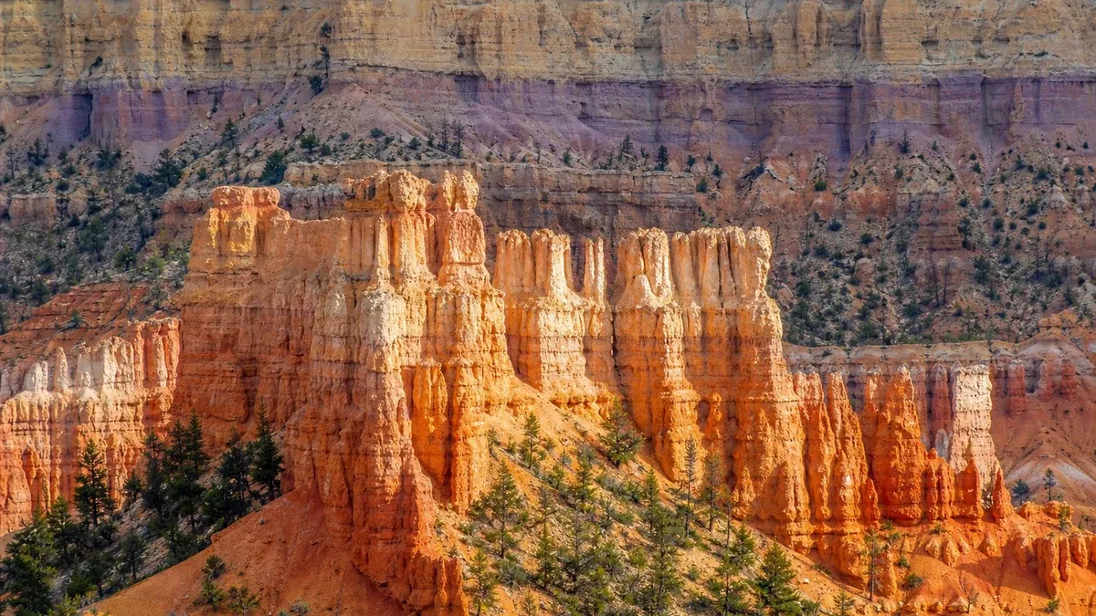 Geological Wonders canyon guide illustration